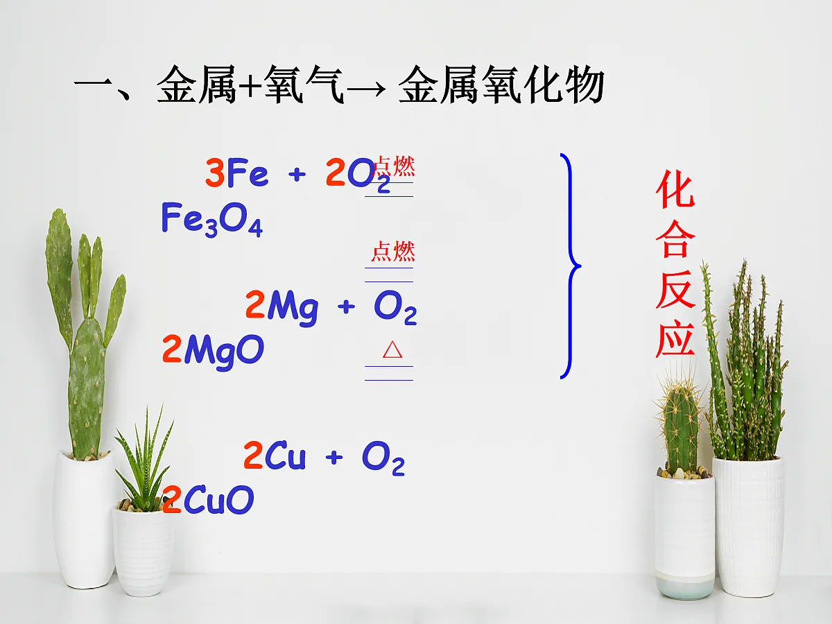 18048861第3页
