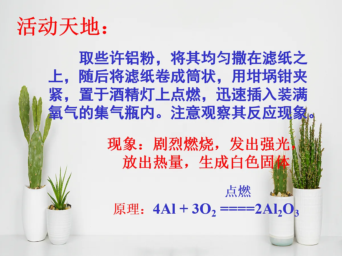 18048861第4页