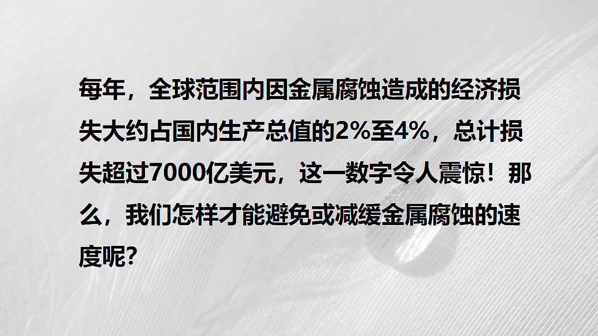 18048882第5页