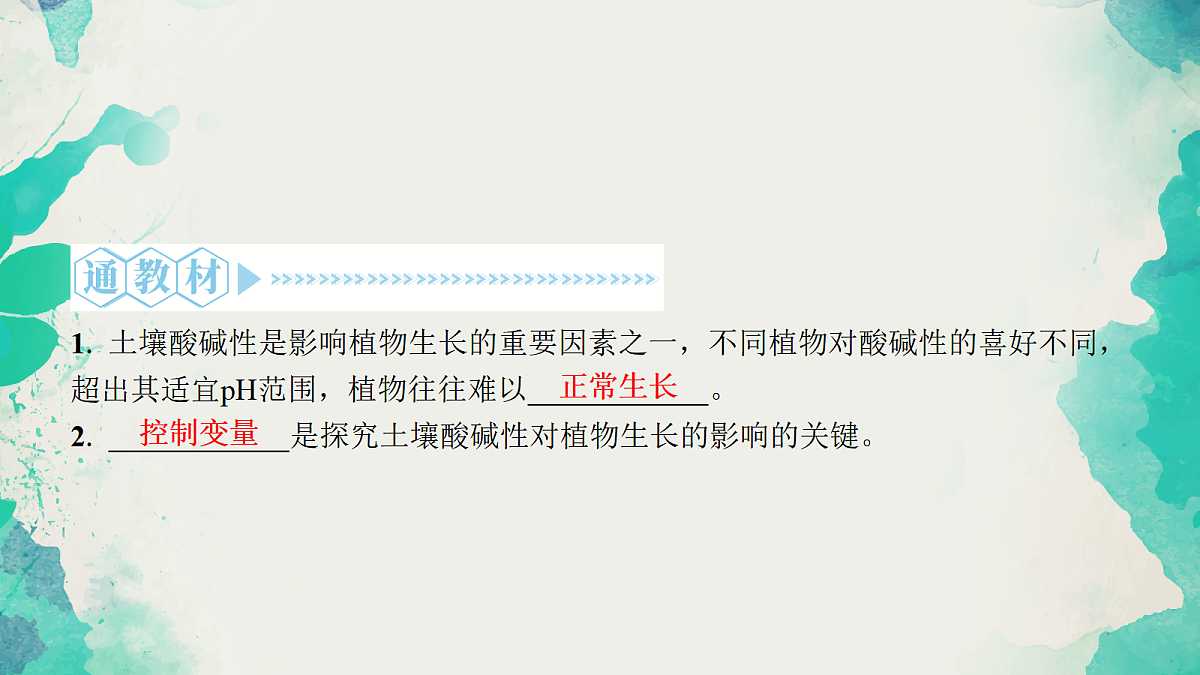18049028第7页