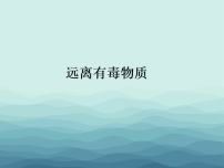 化学九年级下册（2024）远离有毒物质教学演示课件ppt