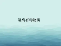 化学九年级下册（2024）远离有毒物质教学演示课件ppt