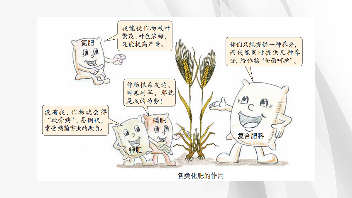 18049341第5页