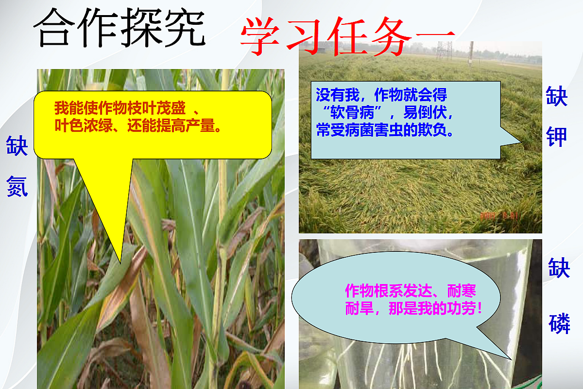 18049346第5页
