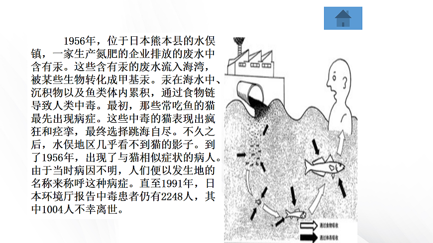 18049365第4页