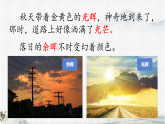 统编版语文三年级下册课件《24 我们奇妙的世界》