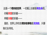 统编版语文三年级下册课件《24 我们奇妙的世界》