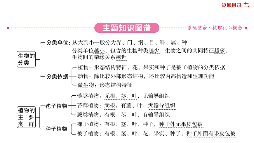 18049937第3页