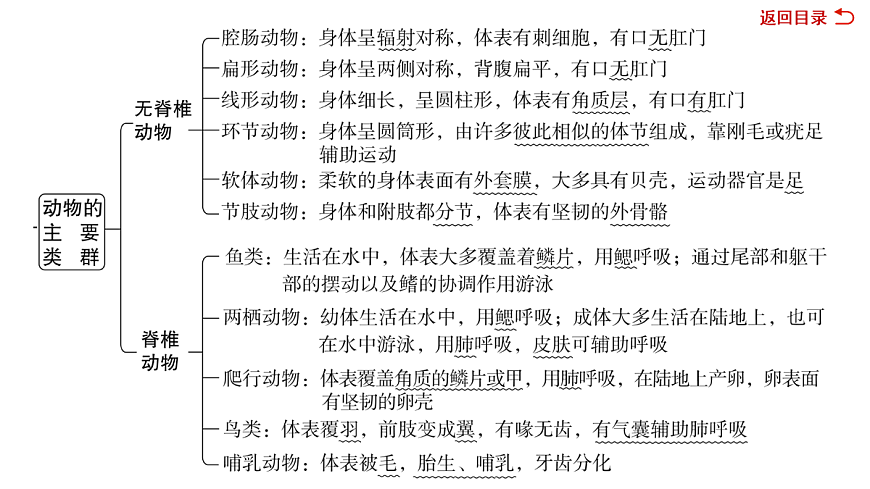 18049937第4页
