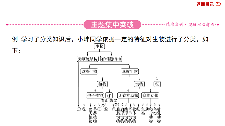 18049937第6页