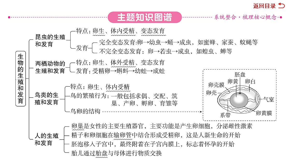 18049938第3页