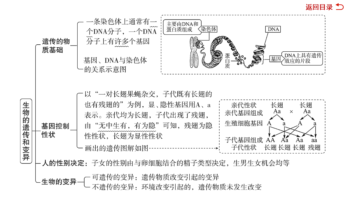 18049938第4页