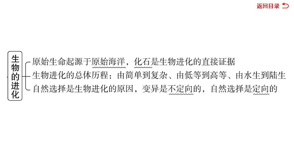 18049938第5页