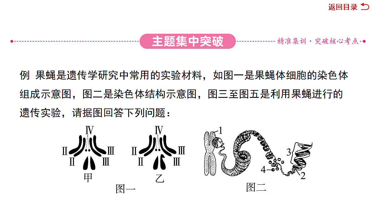 18049938第6页