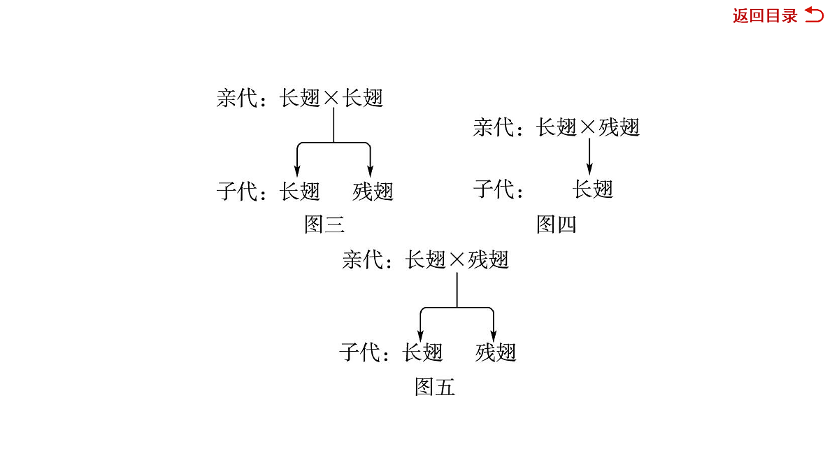 18049938第7页
