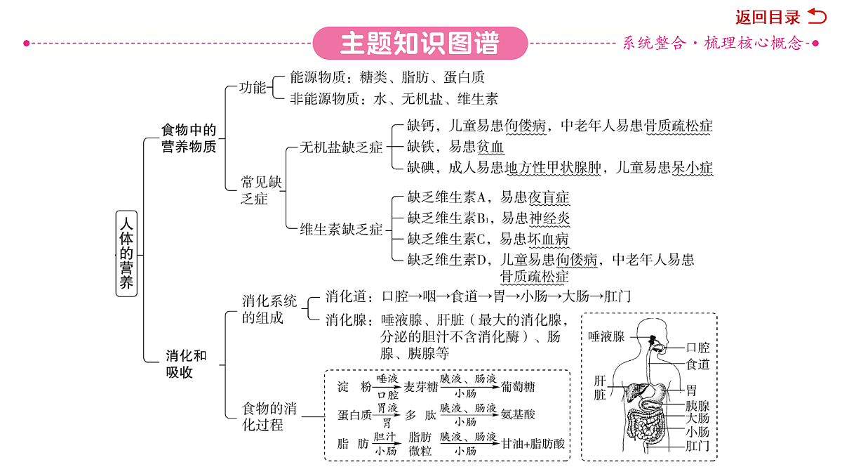 18049941第3页