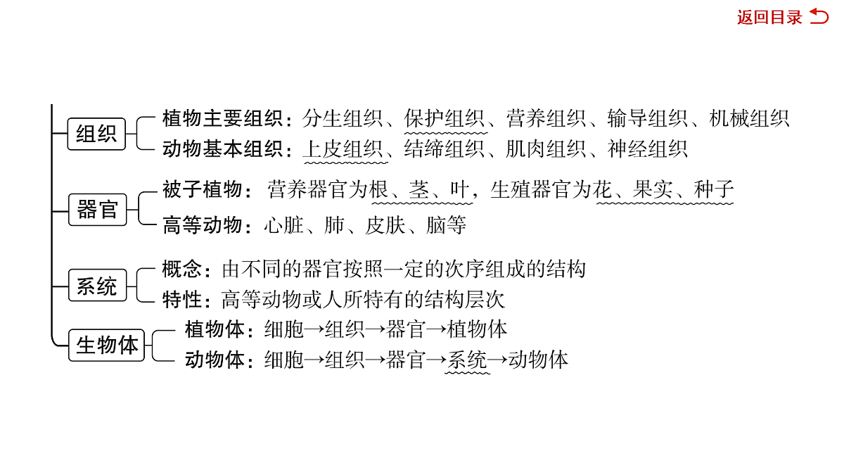 18049942第5页