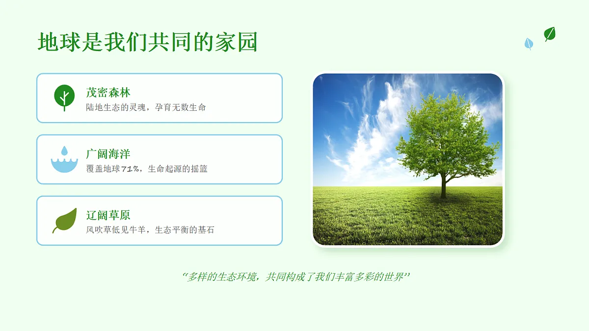 18050024第3页