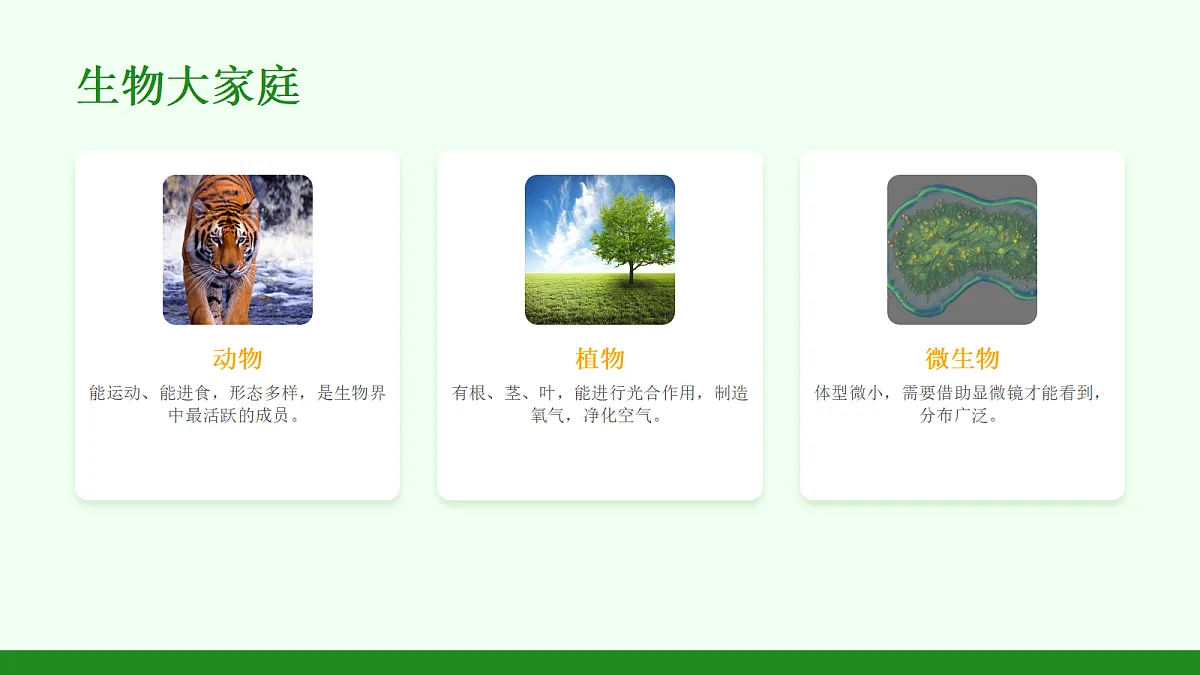 18050024第5页