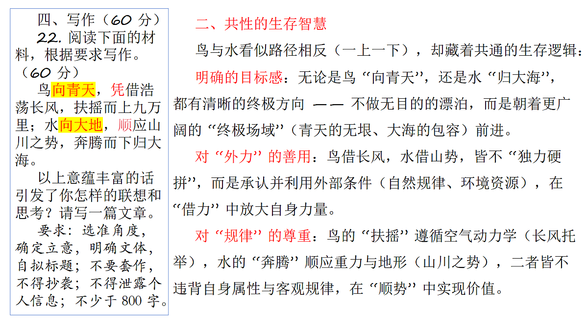 18050650第3页