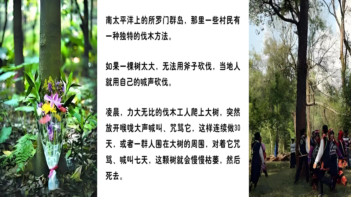 18050659第8页