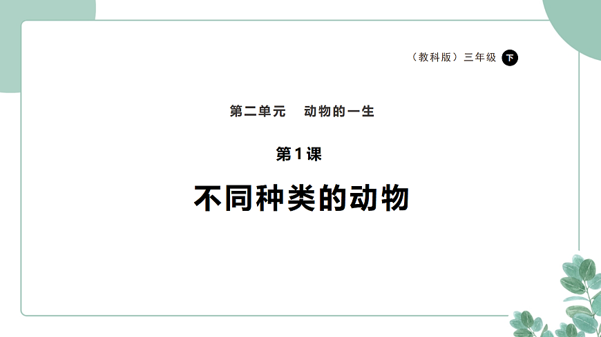 教科版（2024）科学三年级下册2.1《不同种类的动物》课件第1页