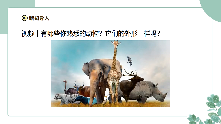 教科版（2024）科学三年级下册2.1《不同种类的动物》课件第4页