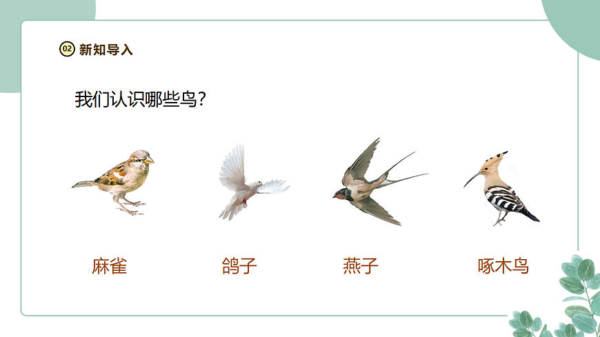 教科版（2024）科学三年级下册2.1《不同种类的动物》课件第8页