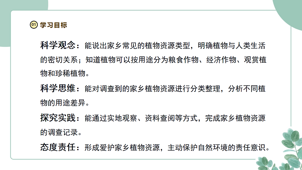 大象版（2024）科学三年级下册2.1《家乡的植物资源》课件第3页