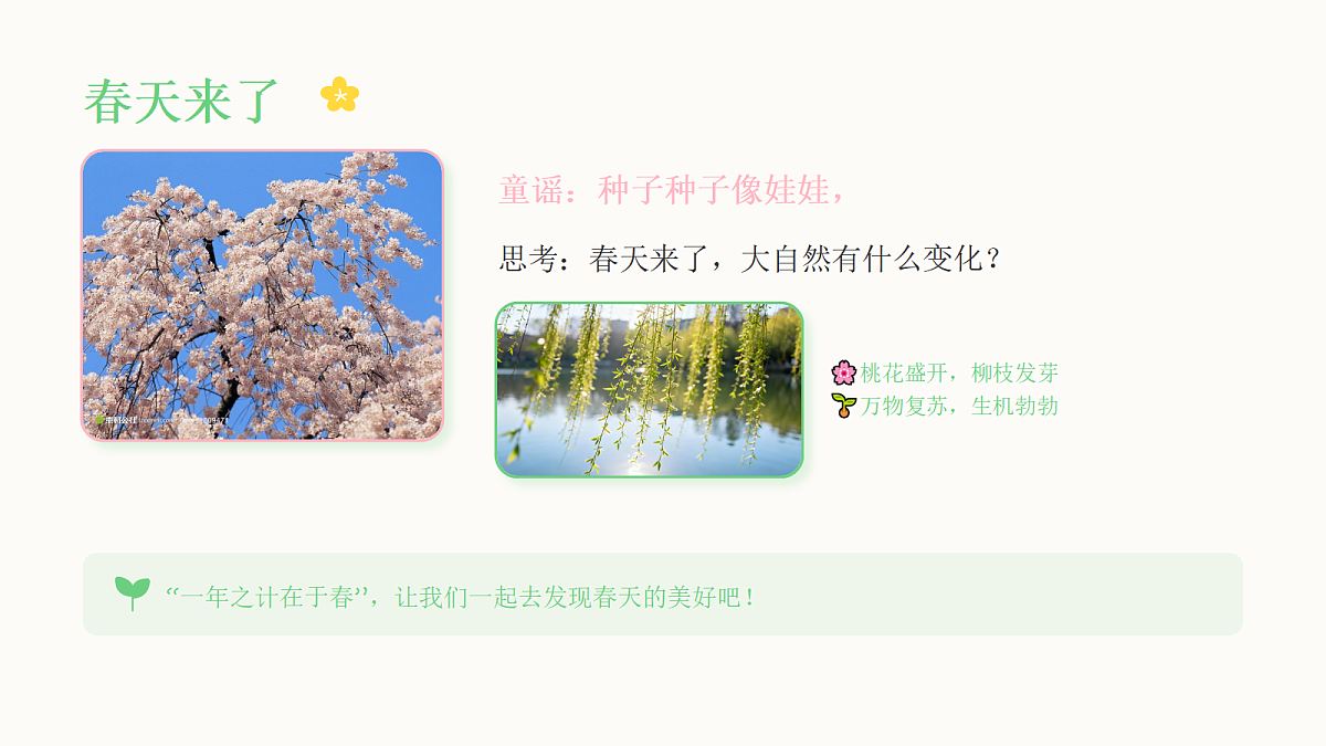 《万物生长》教学课件第3页
