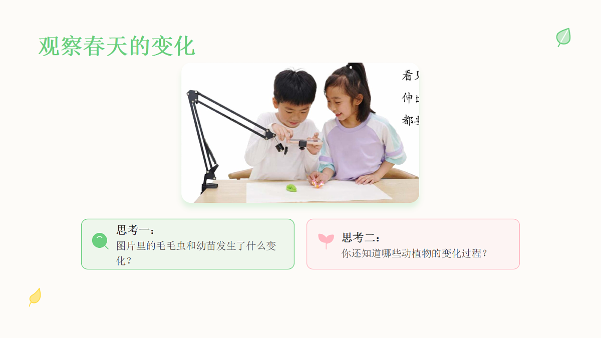 《万物生长》教学课件第4页