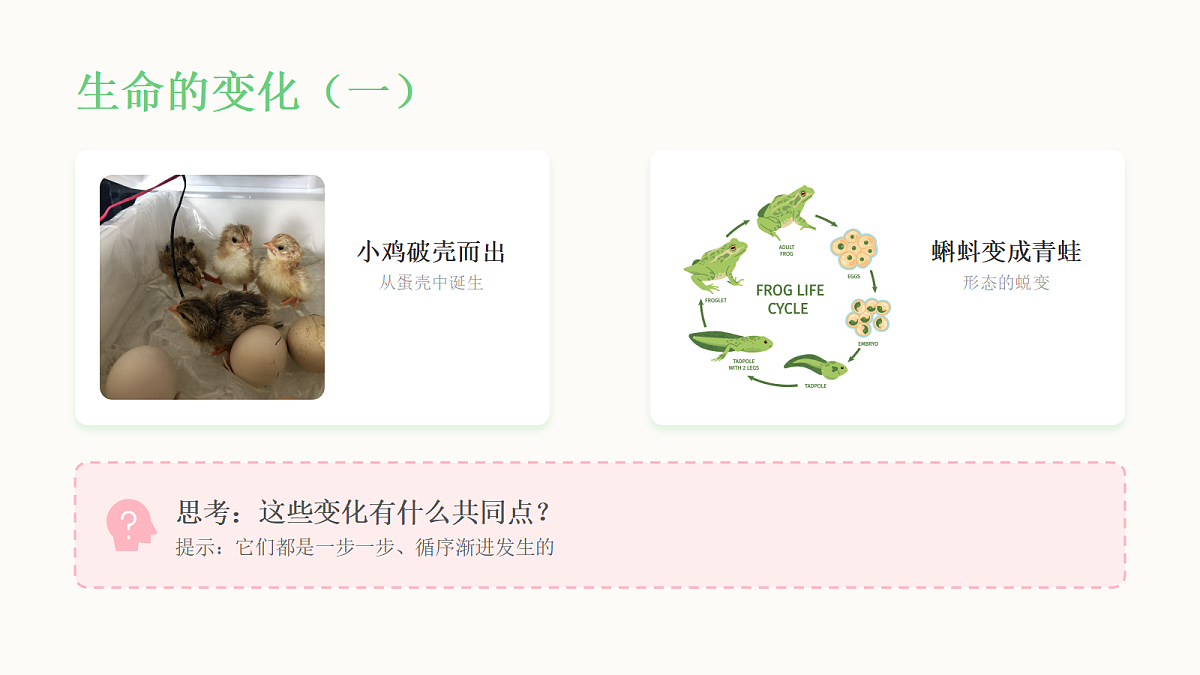 《万物生长》教学课件第5页