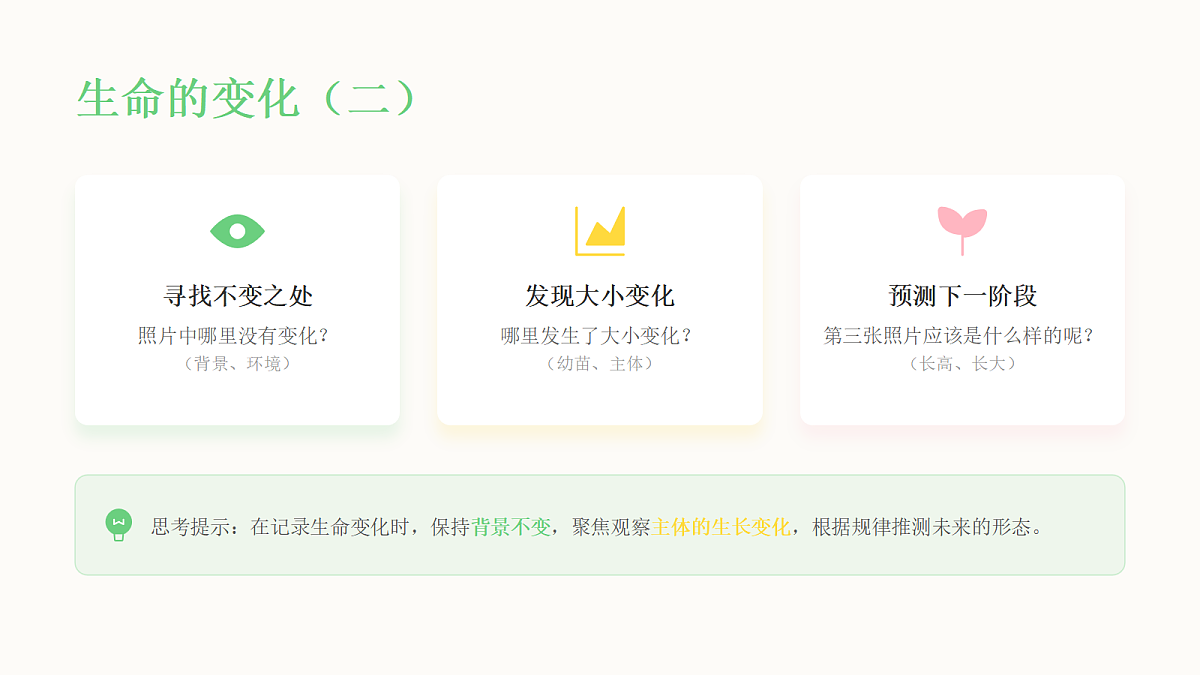 《万物生长》教学课件第6页