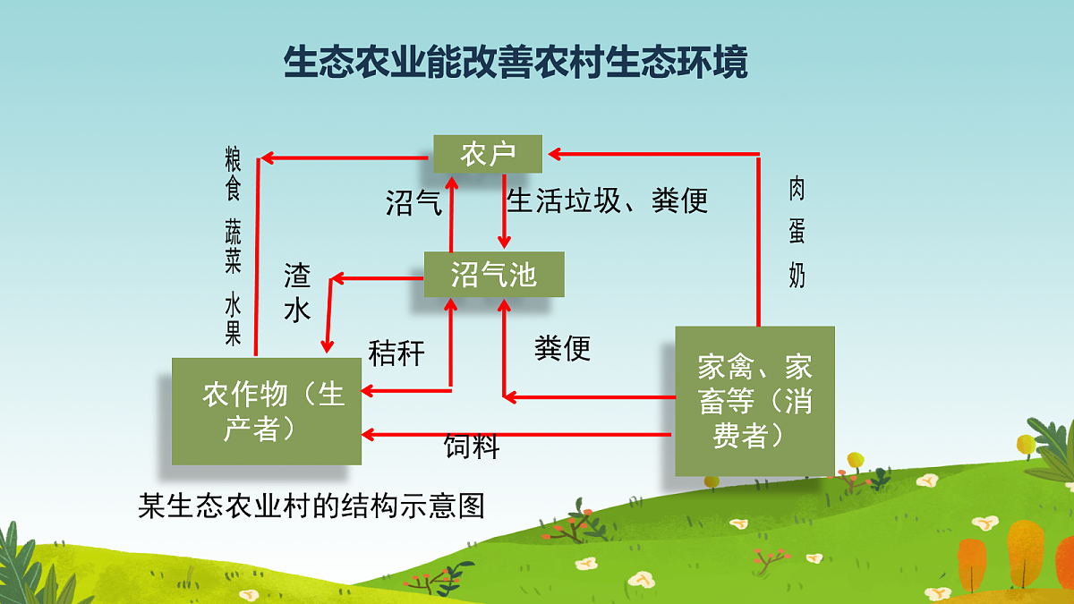 18055083第8页