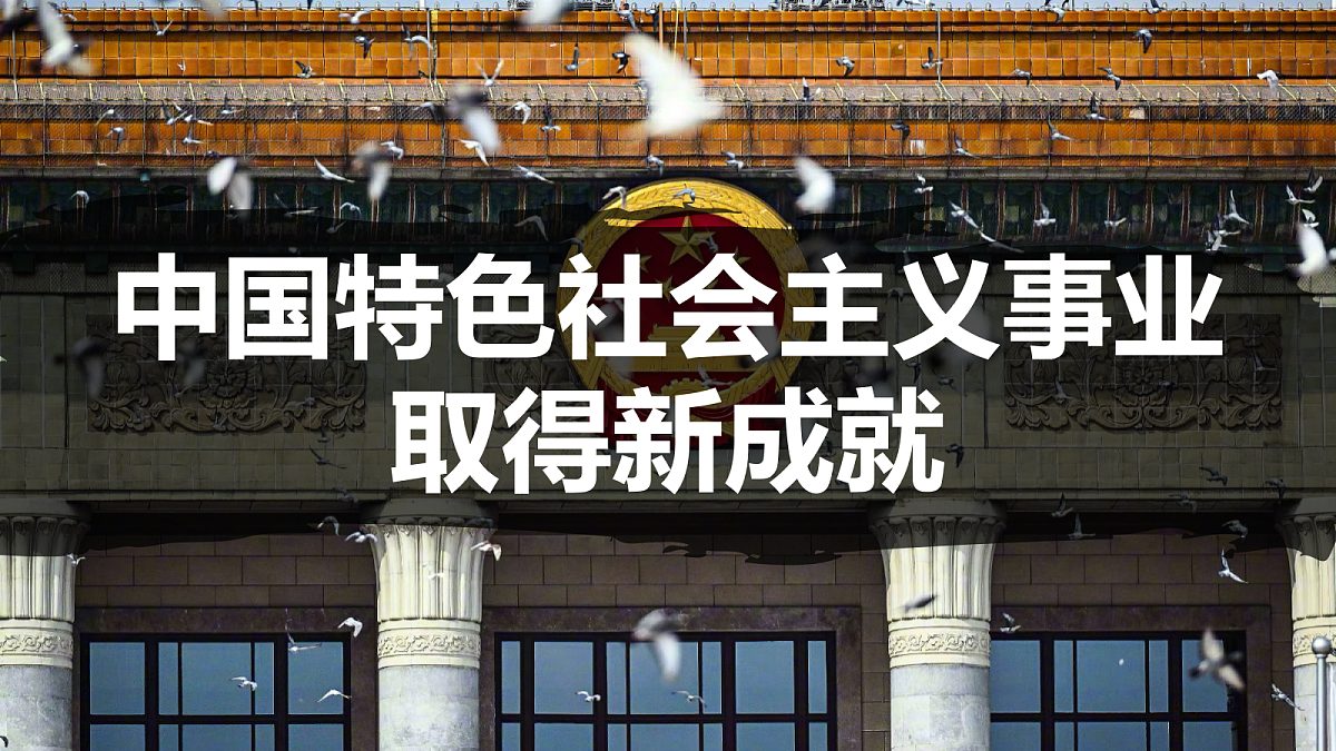 18055553第2页