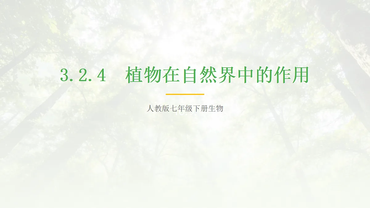 18055604第1页