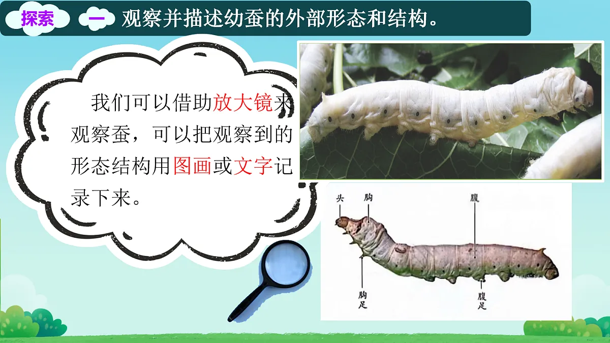 18056513第5页