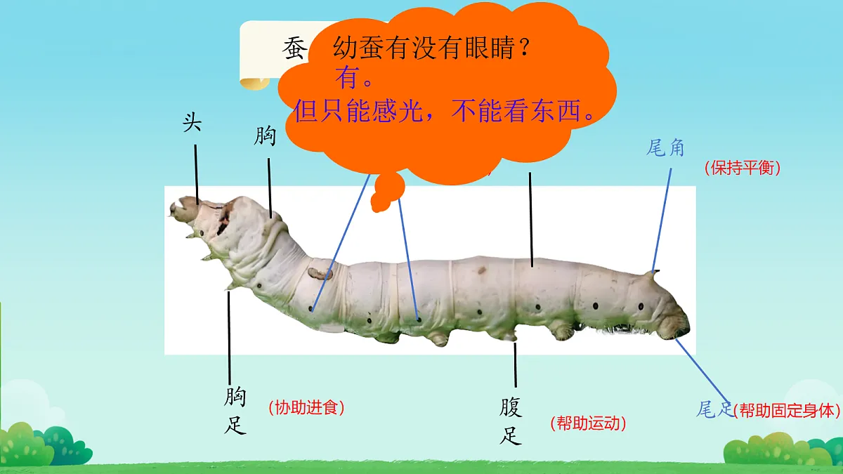 18056513第7页