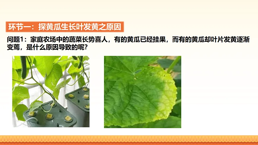 18056935第2页