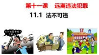 初中人教版（2024）法不可违评课课件ppt