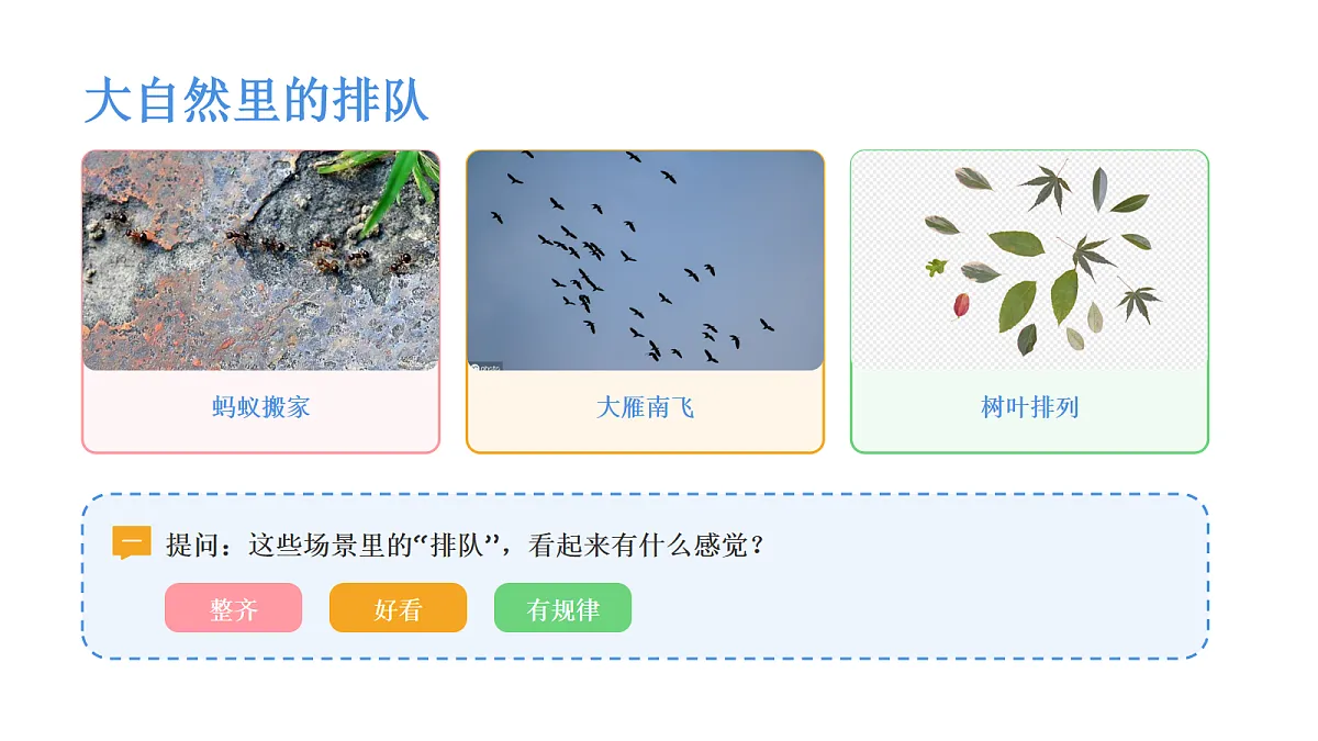 《排排队》美术课件PPT第5页
