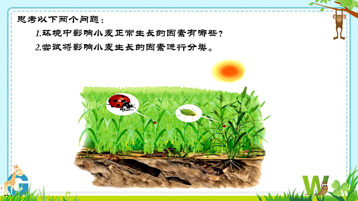 18058902第3页