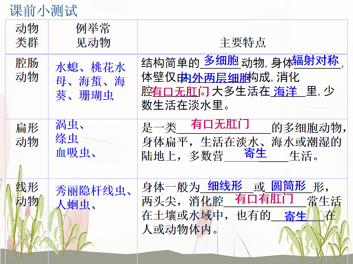 18058912第4页