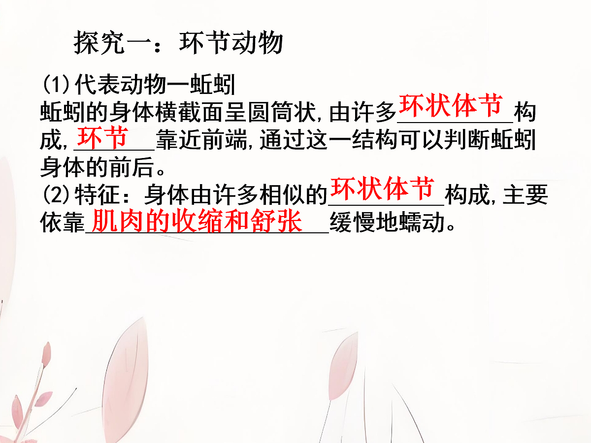 18058912第5页
