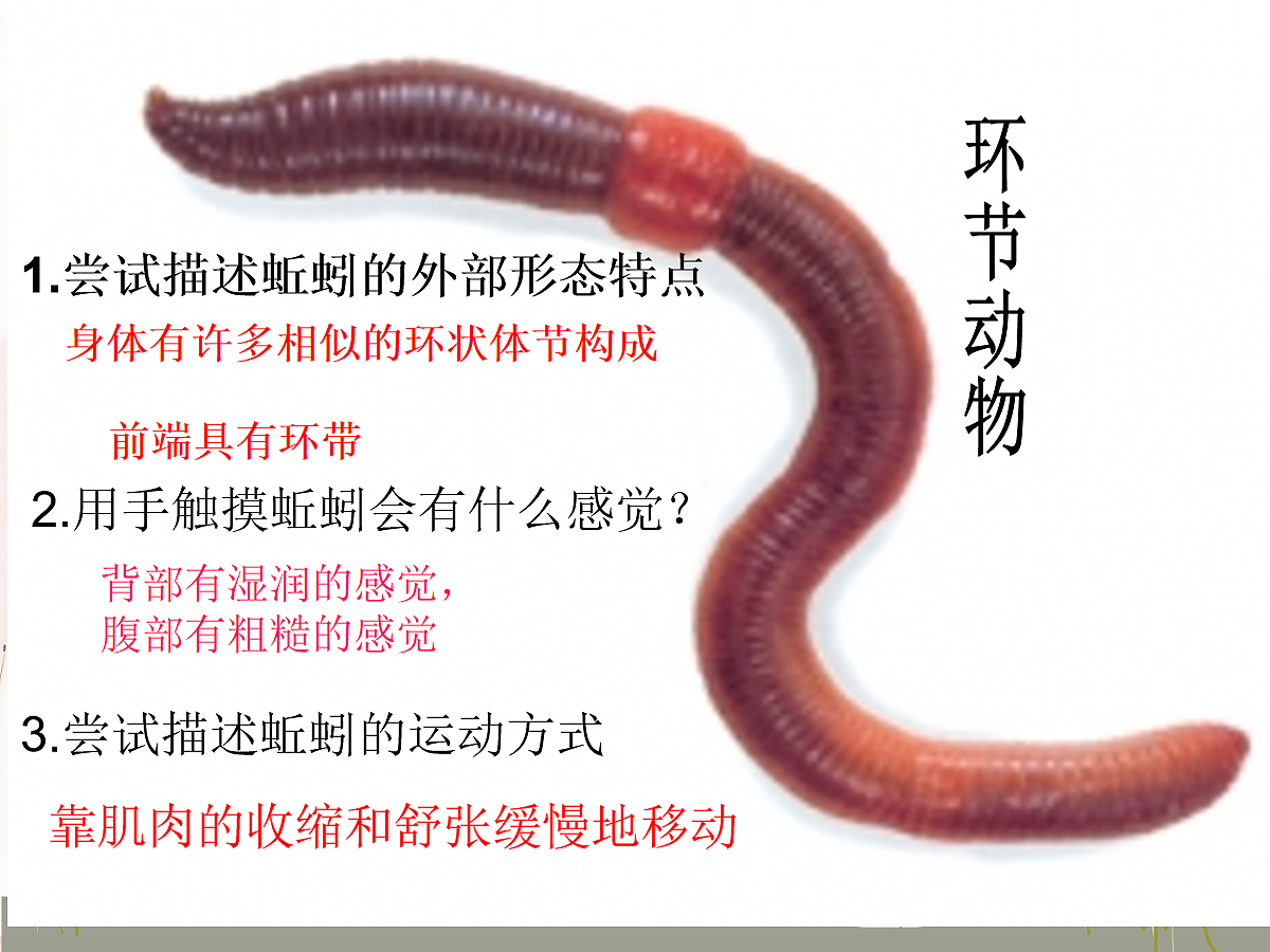 18058912第7页