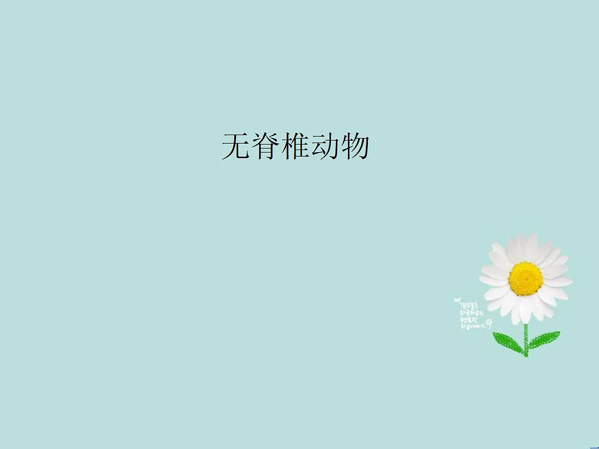 18058913第1页