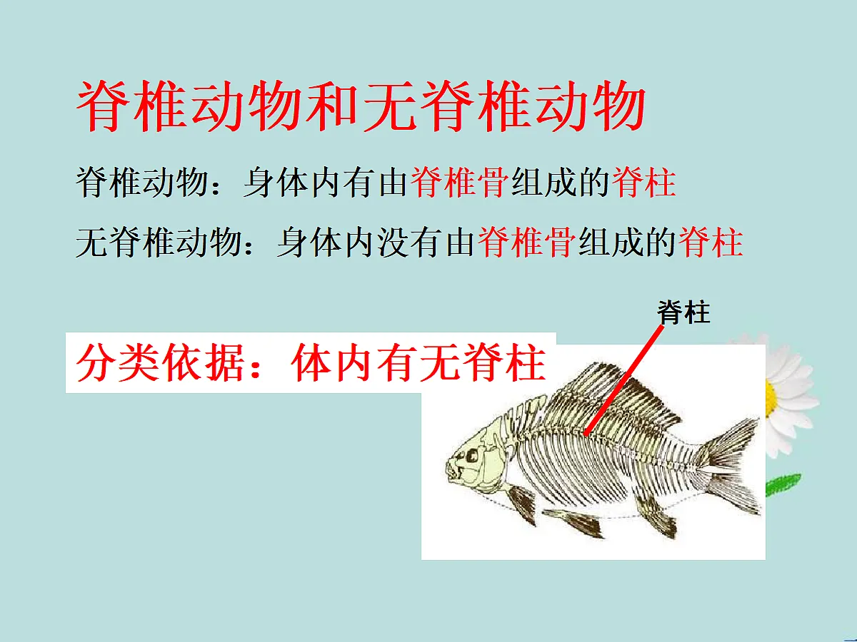 18058913第4页