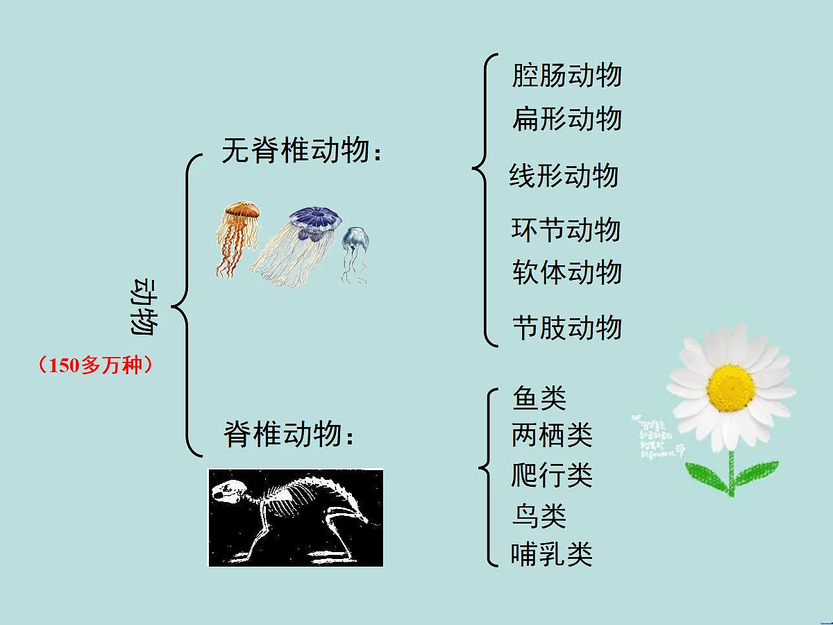 18058913第6页