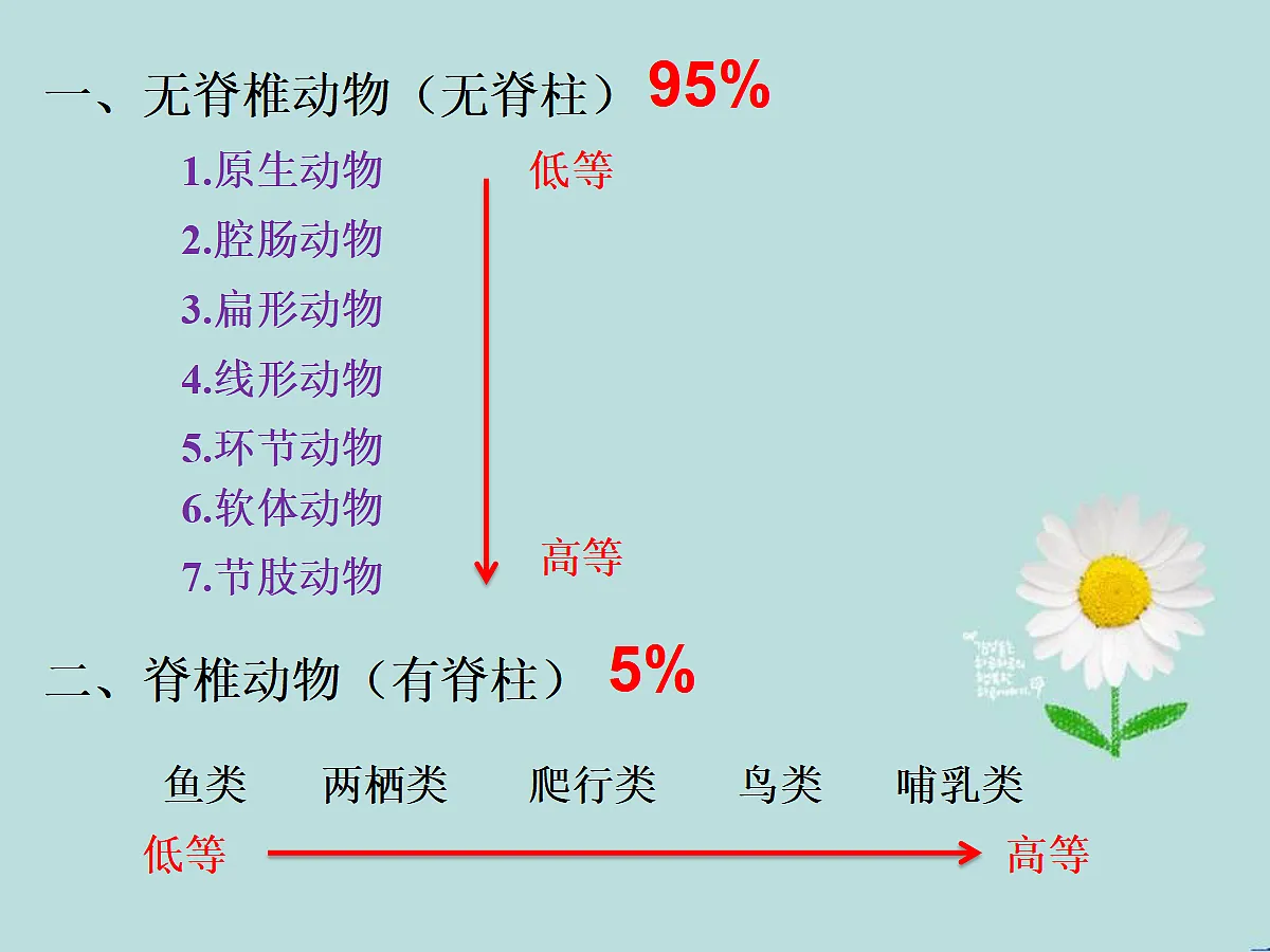 18058913第7页