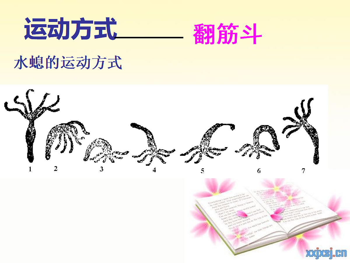 18058916第5页